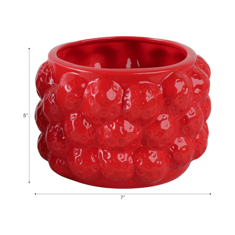7-strawberries-flower-pot-red-7