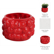 7-strawberries-flower-pot-red-8