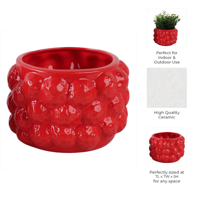 7-strawberries-flower-pot-red-8