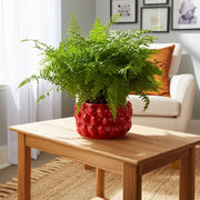 7-strawberries-flower-pot-red-9