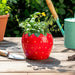 7-strawberry-planter-red-green-10