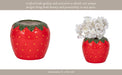 7-strawberry-planter-red-green-11
