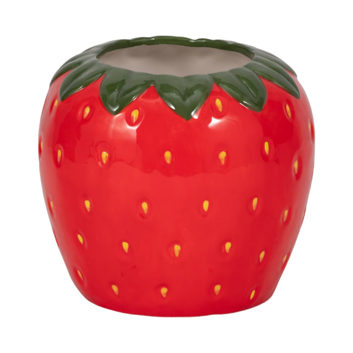 7-strawberry-planter-red-green-1