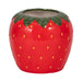 7-strawberry-planter-red-green-1