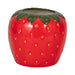 7-strawberry-planter-red-green-3