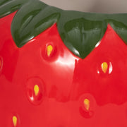 7-strawberry-planter-red-green-4