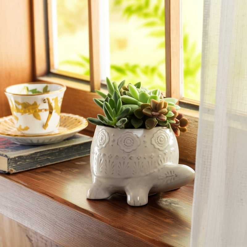 7-turtle-planter-white-13