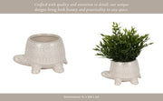 7-turtle-planter-white-15