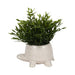 7-turtle-planter-white-2