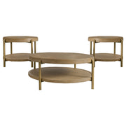 Arini Coffee Table Set - Furniture City (CA)l