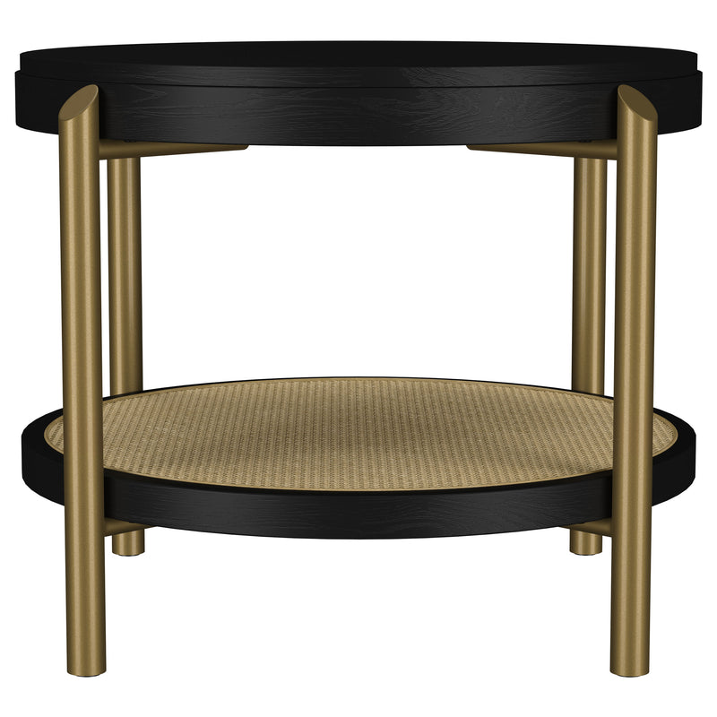 Arini End Table - Furniture City (CA)l