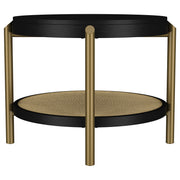 Arini End Table - Furniture City (CA)l