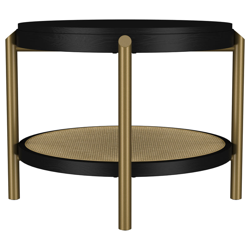 Arini End Table - Furniture City (CA)l