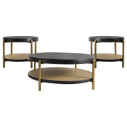 Arini Coffee Table Set - Furniture City (CA)l