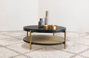 Arini Coffee Table - Furniture City (CA)l