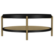 Arini Coffee Table - Furniture City (CA)l