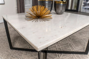 Tobin Coffee Table - Furniture City (CA)l