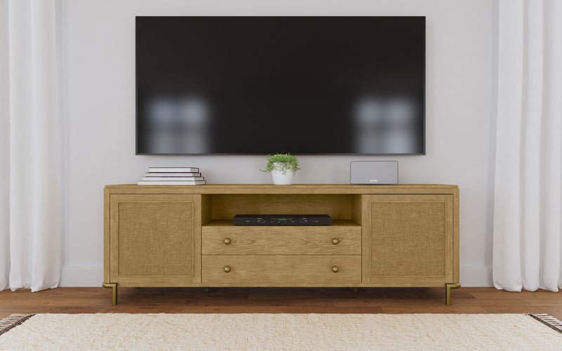 Arini TV Stand - Furniture City (CA)l