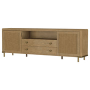 Arini TV Stand - Furniture City (CA)l