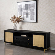 Arini TV Stand - Furniture City (CA)l