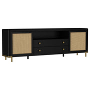 Arini TV Stand - Furniture City (CA)l