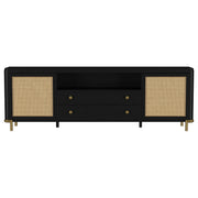 Arini TV Stand - Furniture City (CA)l