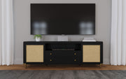 Arini TV Stand - Furniture City (CA)l