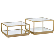 Renee Coffee Table Set - Furniture City (CA)l