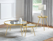 Kaelyn Coffee Table Set - Furniture City (CA)l