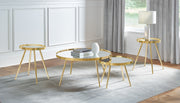 Kaelyn Coffee Table Set - Furniture City (CA)l