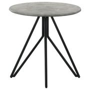 Hadi End Table - Furniture City (CA)l