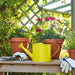 7x15-watering-can-yellow-9