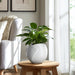 8-abstract-planter-white-5