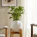 8-abstract-planter-white-6