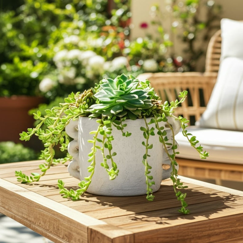 8-arch-handle-planter-white-11