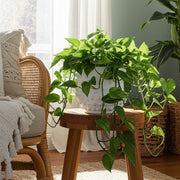 8-bubble-rough-finish-planter-white-12