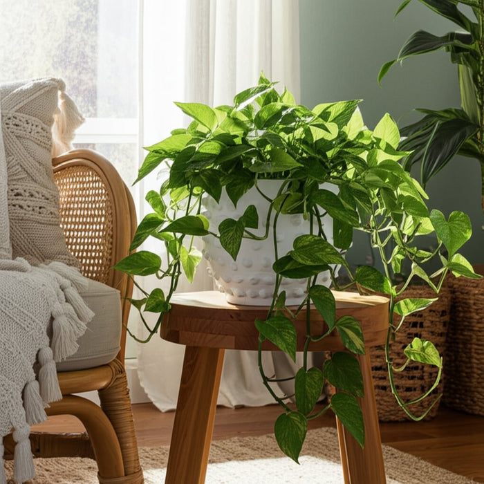 8-bubble-rough-finish-planter-white-12