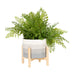 8-ceramic-planter-w-wood-stand-beige-mix-5