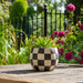 8-checkerboard-rounded-planter-black-white-11