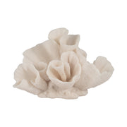 8-coral-object-ivory-1