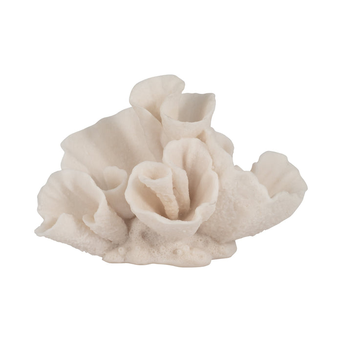 8-coral-object-ivory-1