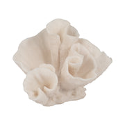 8-coral-object-ivory-2