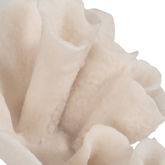 8-coral-object-ivory-5