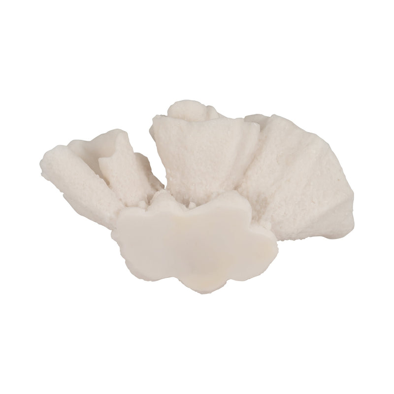 8-coral-object-ivory-7