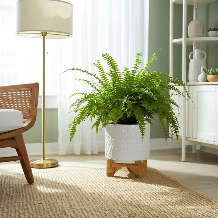 8-diamond-planter-w-stand-white-12