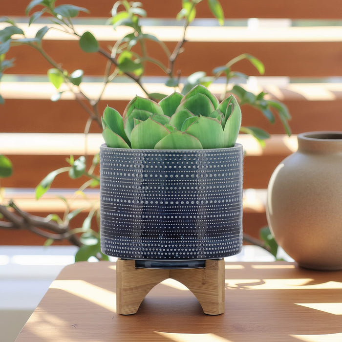 8-dotted-planter-w-wood-stand-blue-14