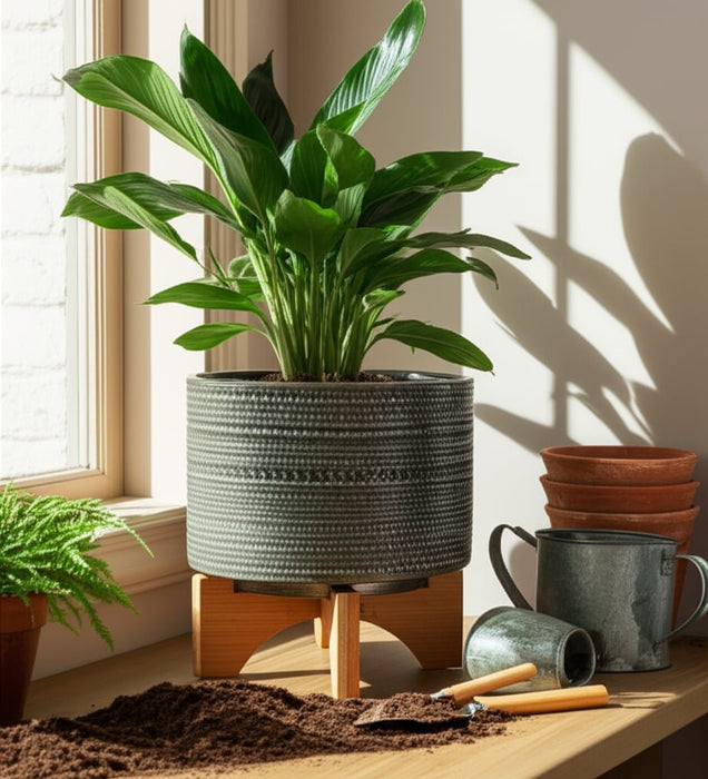 8-dotted-planter-w-wood-stand-green-12