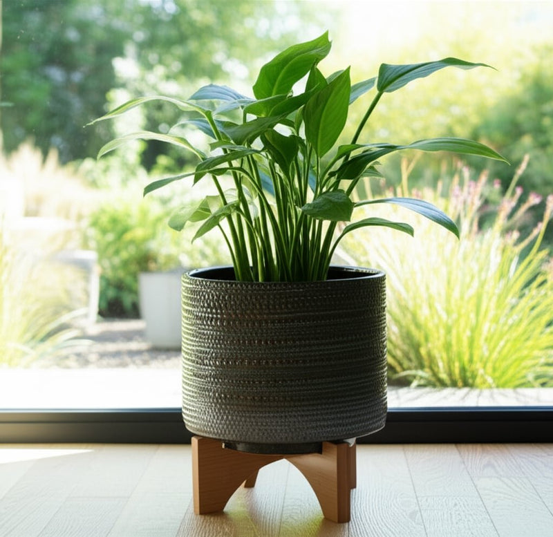 8-dotted-planter-w-wood-stand-green-13