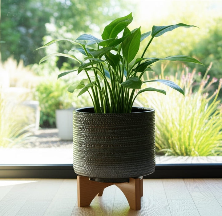 8-dotted-planter-w-wood-stand-green-13