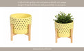 8-dotted-planter-w-wood-stand-yellow-13